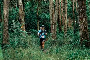 BIB: 
                            <button type="button" onclick="openModal(25237906)" class="btn btn-primary btn-sm float-right btn-popup" data-toggle="modal" data-target=".modal-high-quality">
                        <i class="fas fa-shopping-cart"></i> Add to Cart
                    </button>
                                            <button type="button" onclick="isThisMe(25237906, true)" class="btn btn-success btn-sm float-right btn-popup btn-isme hidden" data-toggle="tooltip" data-placement="bottom" title="นี่คือรูปของคุณใช่ไหม คลิกที่นี่เพื่อเอาเข้าอัลบั้ม">
                        <i class="fas fa-plus"></i> Add to album
                    </button>
                    <button type="button" onclick="isThisMe(25237906, false)" class="btn btn-warning btn-sm float-right btn-popup btn-isnotme hidden">
                        <i class="fas fa-ban"></i> Remove from album
                    </button>